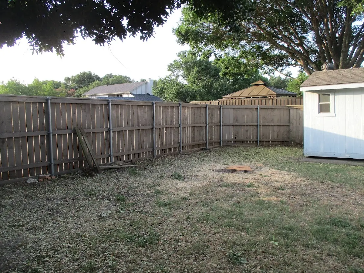 Cleared yard after professional tree removal in Sharon